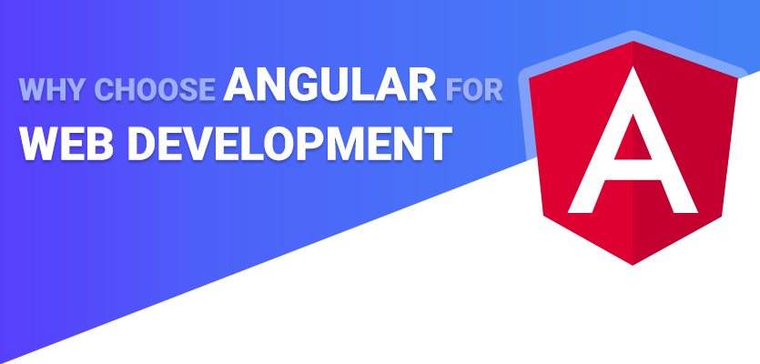 Why Angular Development Services